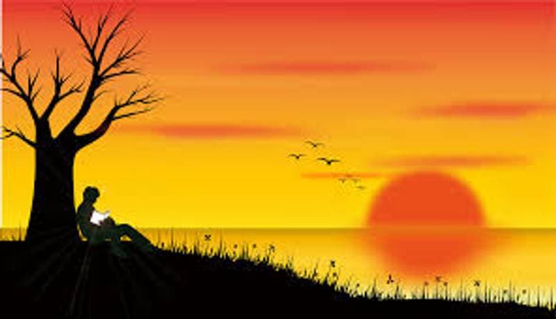 تصویر نمونه کار